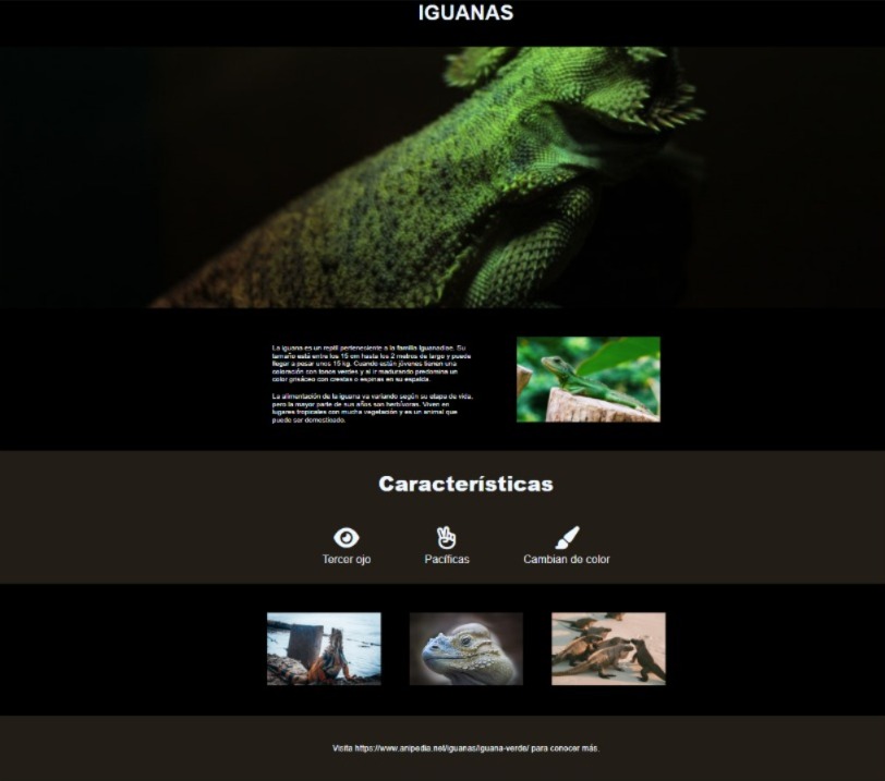 captura-de-pantalla-de-proyecto-iguanas