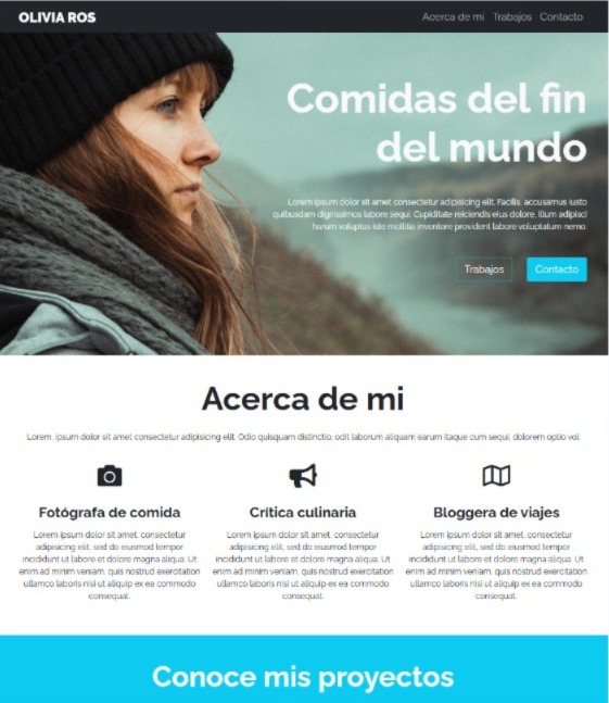 captura-de-pantalla-de-proyecto-git